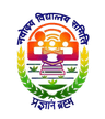 NVS Logo